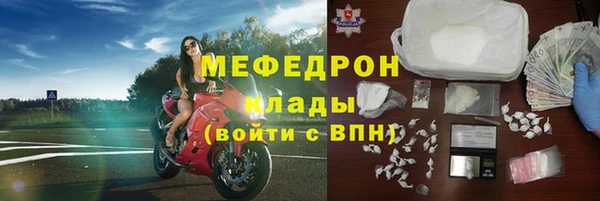 индика Новозыбков