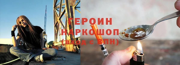 индика Новозыбков