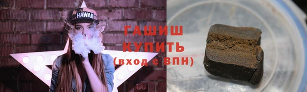 индика Новозыбков