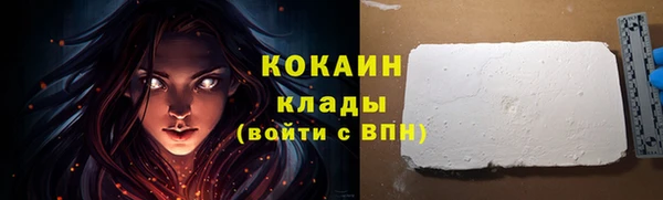 индика Новозыбков