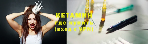индика Новозыбков