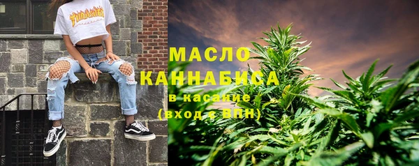 индика Новозыбков