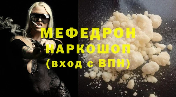 индика Новозыбков