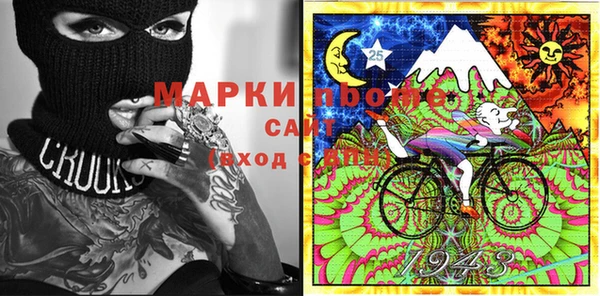 индика Новозыбков