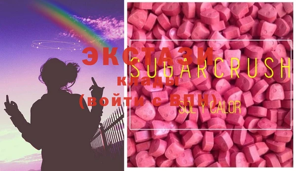 индика Новозыбков