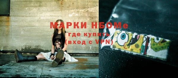 индика Новозыбков