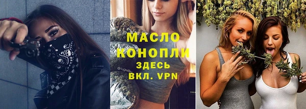 индика Новозыбков