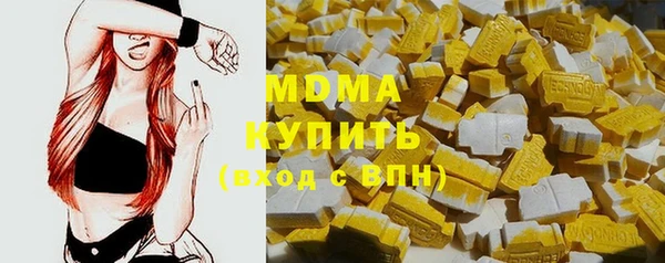 индика Новозыбков