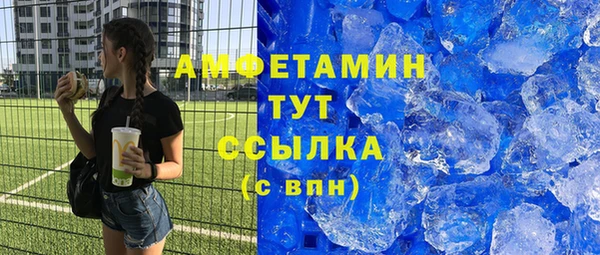 индика Новозыбков