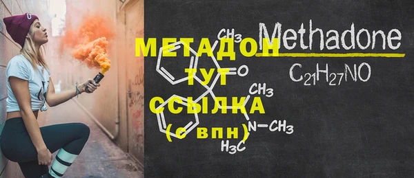индика Новозыбков
