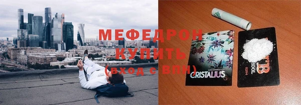 индика Новозыбков